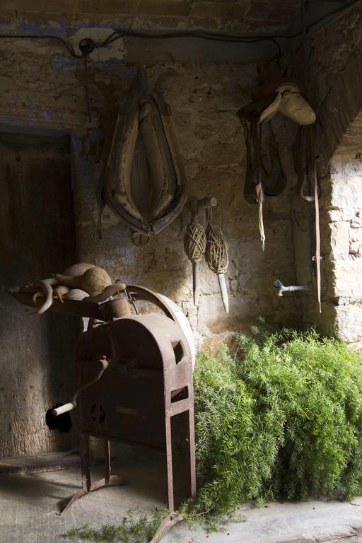 Can Barnosell - Els Masos D'En Coll Llaviá Kültér fotó